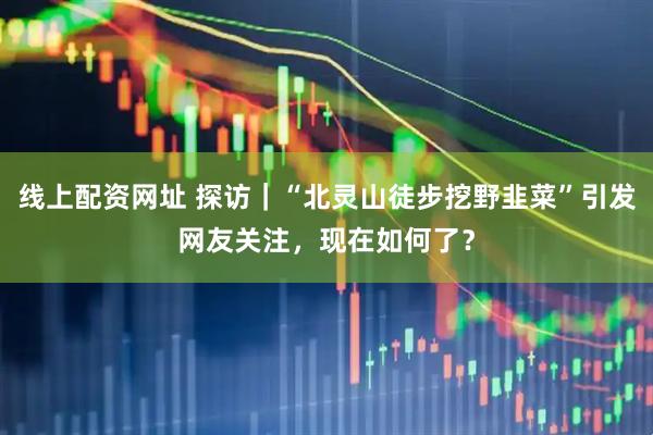线上配资网址 探访｜“北灵山徒步挖野韭菜”引发网友关注，现在如何了？